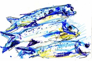 Fish 21x15 Pastel&PencilOnPaper