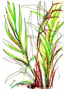 Plants 21x15 Pastel&PencilOnPaper